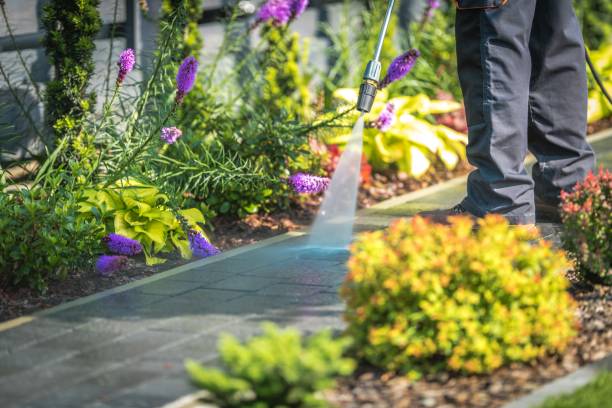 Best Driveway Pressure Washing  in Whitney, SC